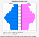 Madrid - Pirámide de población grupos quinquenales - Censo 2020