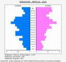 Antella - Pirámide de población grupos quinquenales - Censo 2020
