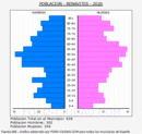Benavites - Pirámide de población grupos quinquenales - Censo 2020