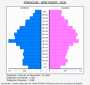 Benetússer - Pirámide de población grupos quinquenales - Censo 2020