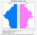 Canals - Pirámide de población grupos quinquenales - Censo 2020
