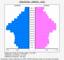 Gandia - Pirámide de población grupos quinquenales - Censo 2020