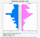 Millares - Pirámide de población grupos quinquenales - Censo 2020