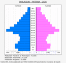 Paterna - Pirámide de población grupos quinquenales - Censo 2020
