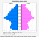 Silla - Pirámide de población grupos quinquenales - Censo 2020