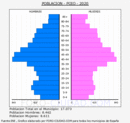 Poio - Pirámide de población grupos quinquenales - Censo 2020