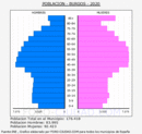 Burgos - Pirámide de población grupos quinquenales - Censo 2020