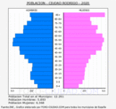 Ciudad Rodrigo - Pirámide de población grupos quinquenales - Censo 2020