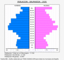 Balmaseda - Pirámide de población grupos quinquenales - Censo 2020