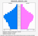 Arrecife - Pirámide de población grupos quinquenales - Censo 2020