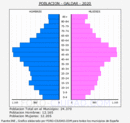 Gáldar - Pirámide de población grupos quinquenales - Censo 2020