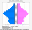 Ingenio - Pirámide de población grupos quinquenales - Censo 2020