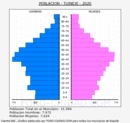 Tuineje - Pirámide de población grupos quinquenales - Censo 2020
