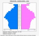 Guadalajara - Pirámide de población grupos quinquenales - Censo 2020