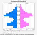 Cobisa - Pirámide de población grupos quinquenales - Censo 2020