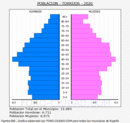 Torrijos - Pirámide de población grupos quinquenales - Censo 2020