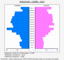 Coaña - Pirámide de población grupos quinquenales - Censo 2020