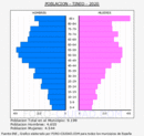 Tineo - Pirámide de población grupos quinquenales - Censo 2020