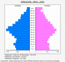Inca - Pirámide de población grupos quinquenales - Censo 2020