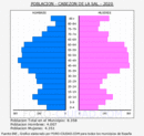 Cabezón de la Sal - Pirámide de población grupos quinquenales - Censo 2020