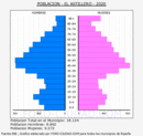 El Astillero - Pirámide de población grupos quinquenales - Censo 2020