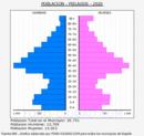Piélagos - Pirámide de población grupos quinquenales - Censo 2020