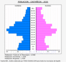 Castañeda - Pirámide de población grupos quinquenales - Censo 2020