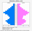 Cabrils - Pirámide de población grupos quinquenales - Censo 2020