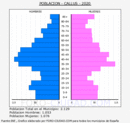 Callús - Pirámide de población grupos quinquenales - Censo 2020