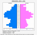 Seva - Pirámide de población grupos quinquenales - Censo 2020