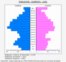 Subirats - Pirámide de población grupos quinquenales - Censo 2020