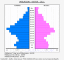 Viator - Pirámide de población grupos quinquenales - Censo 2021