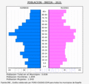Breda - Pirámide de población grupos quinquenales - Censo 2021