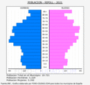 Ripoll - Pirámide de población grupos quinquenales - Censo 2021