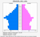 Salt - Pirámide de población grupos quinquenales - Censo 2021