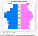 Solsona - Pirámide de población grupos quinquenales - Censo 2021