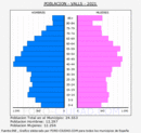 Valls - Pirámide de población grupos quinquenales - Censo 2021