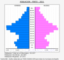 Pinto - Pirámide de población grupos quinquenales - Censo 2021