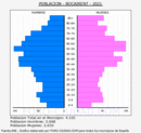 Bocairent - Pirámide de población grupos quinquenales - Censo 2021