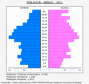 Manuel - Pirámide de población grupos quinquenales - Censo 2021