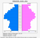 Oliva - Pirámide de población grupos quinquenales - Censo 2021