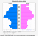 Sada - Pirámide de población grupos quinquenales - Censo 2021