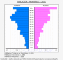 Monterrei - Pirámide de población grupos quinquenales - Censo 2021