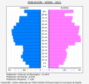 Verín - Pirámide de población grupos quinquenales - Censo 2021
