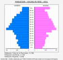 Caldas de Reis - Pirámide de población grupos quinquenales - Censo 2021