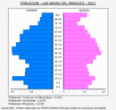 Las Navas del Marqués - Pirámide de población grupos quinquenales - Censo 2021