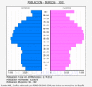 Burgos - Pirámide de población grupos quinquenales - Censo 2021