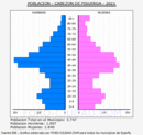 Cabezón de Pisuerga - Pirámide de población grupos quinquenales - Censo 2021
