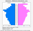 Peñarroya-Pueblonuevo - Pirámide de población grupos quinquenales - Censo 2021