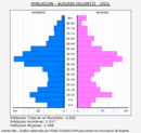 Alegría-Dulantzi - Pirámide de población grupos quinquenales - Censo 2021